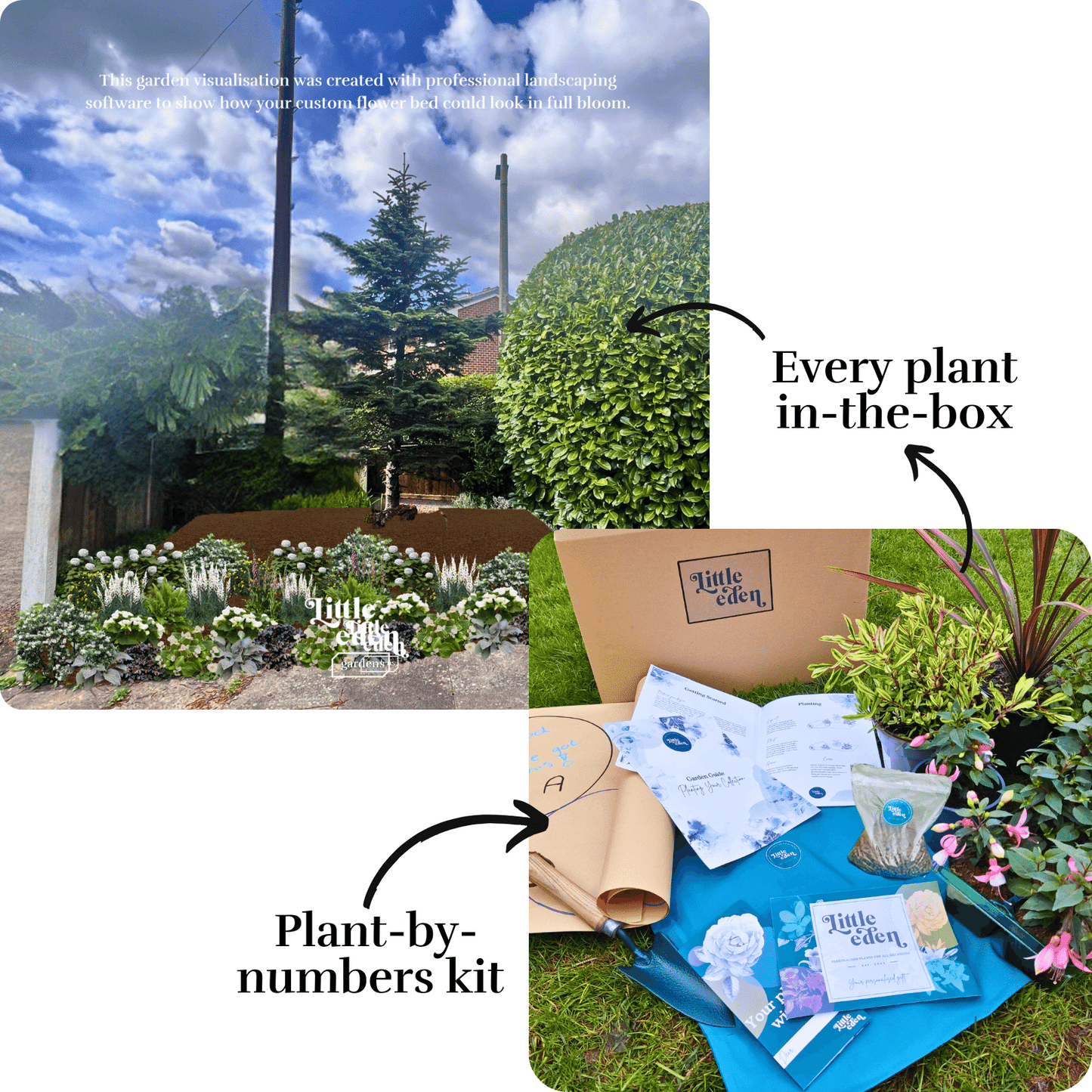 Malavika's Border-in-a-Box