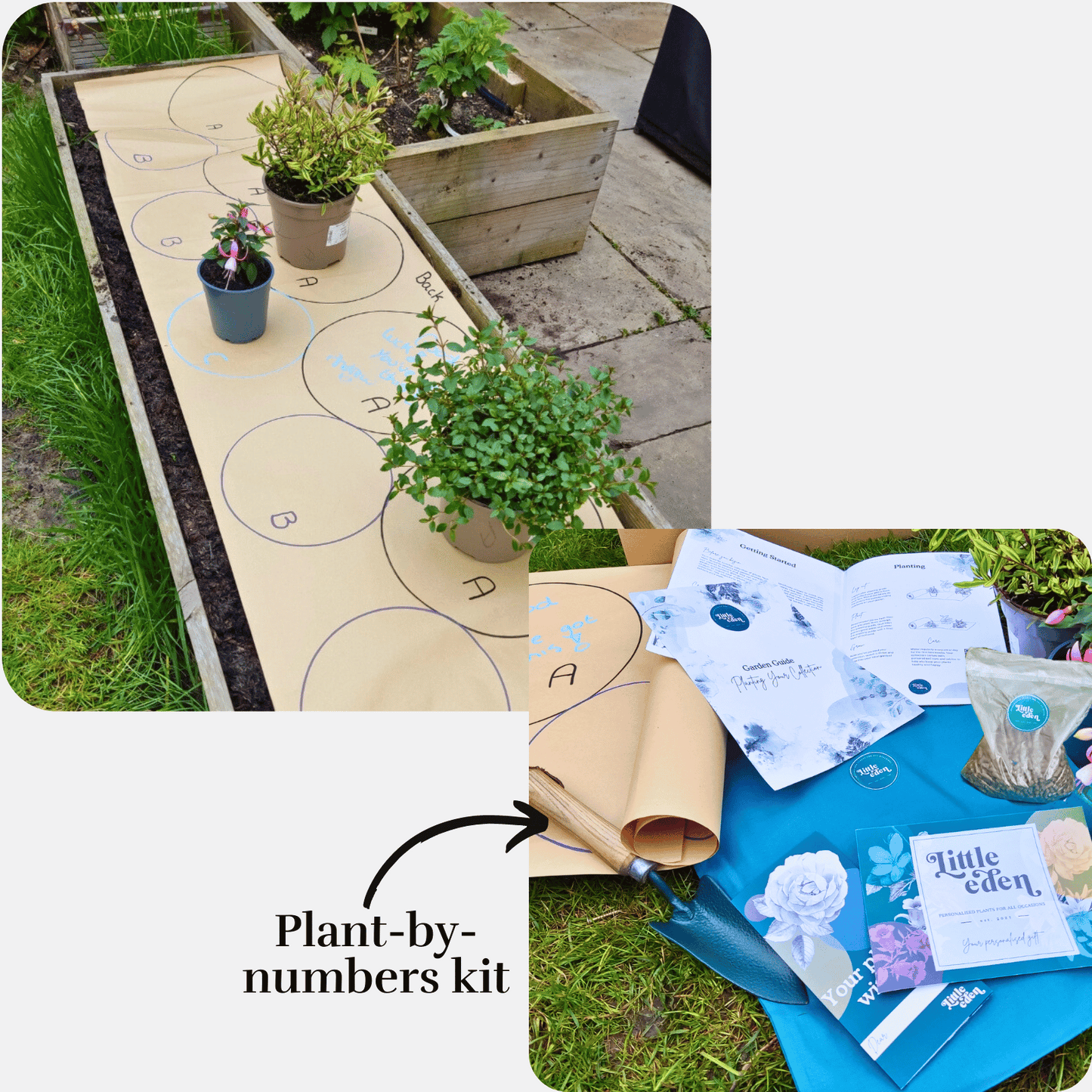 Jacquie's Plant-by-Numbers Kit