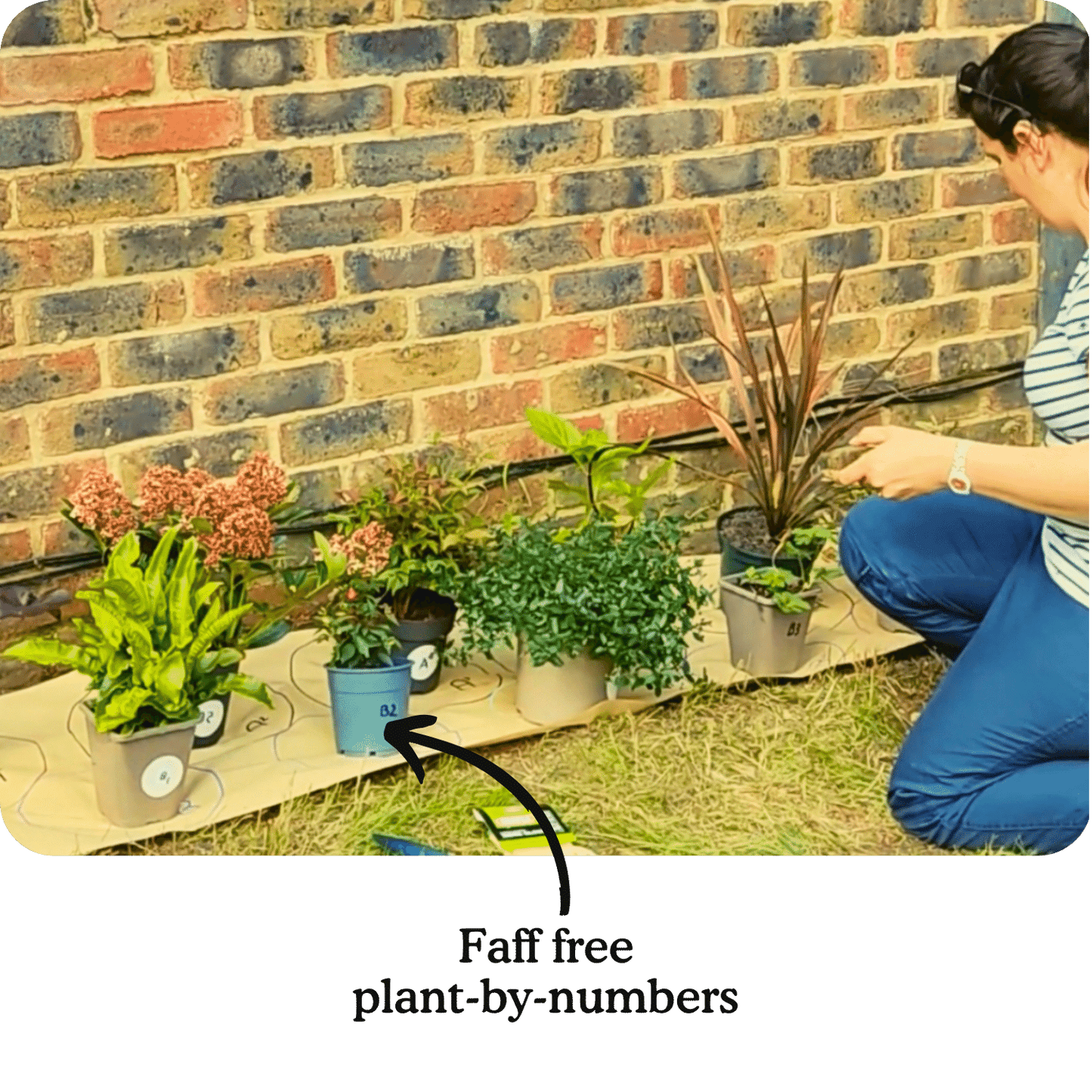 Juliette's Border-in-a-Box