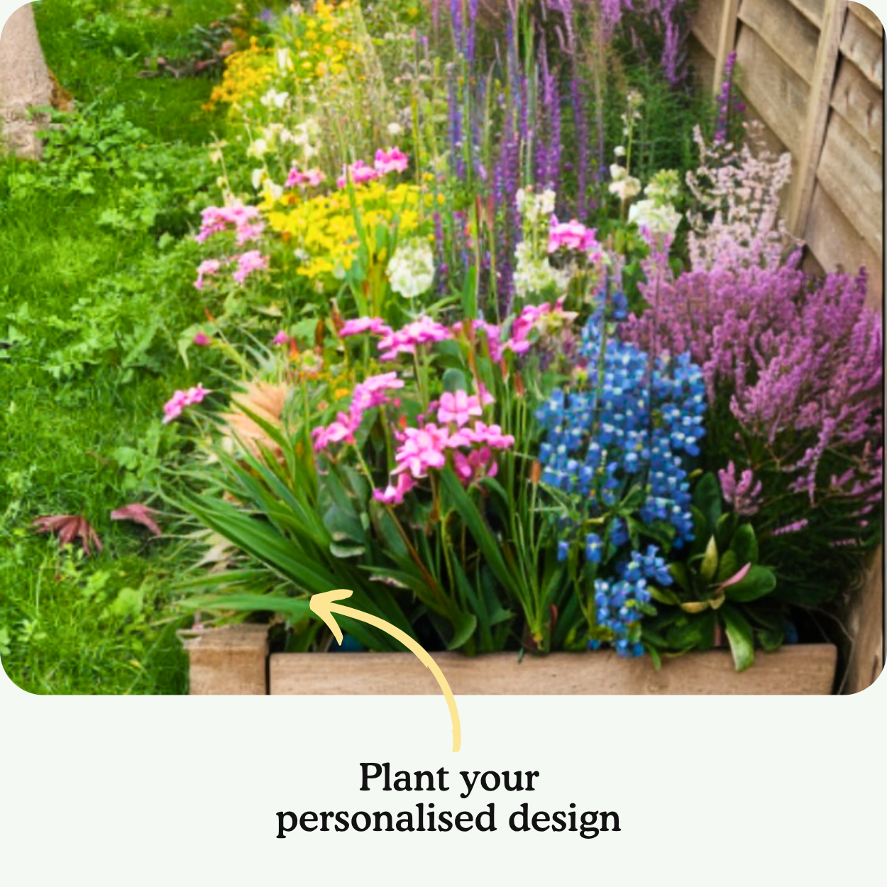 Helson's Left Border