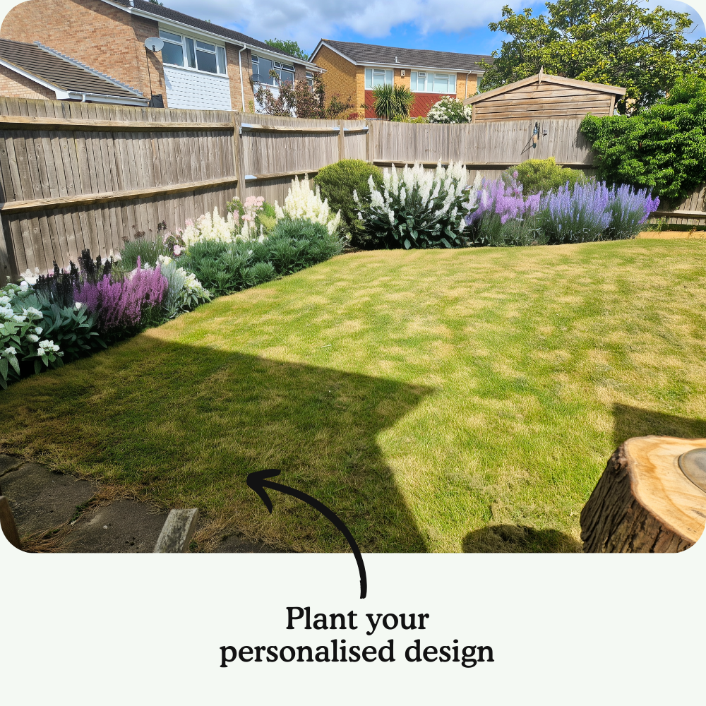 Jarrod's Back Border