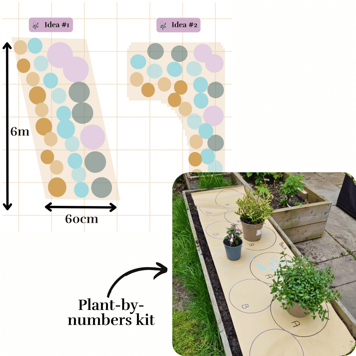 Jacquie's Plant-by-Numbers Kit