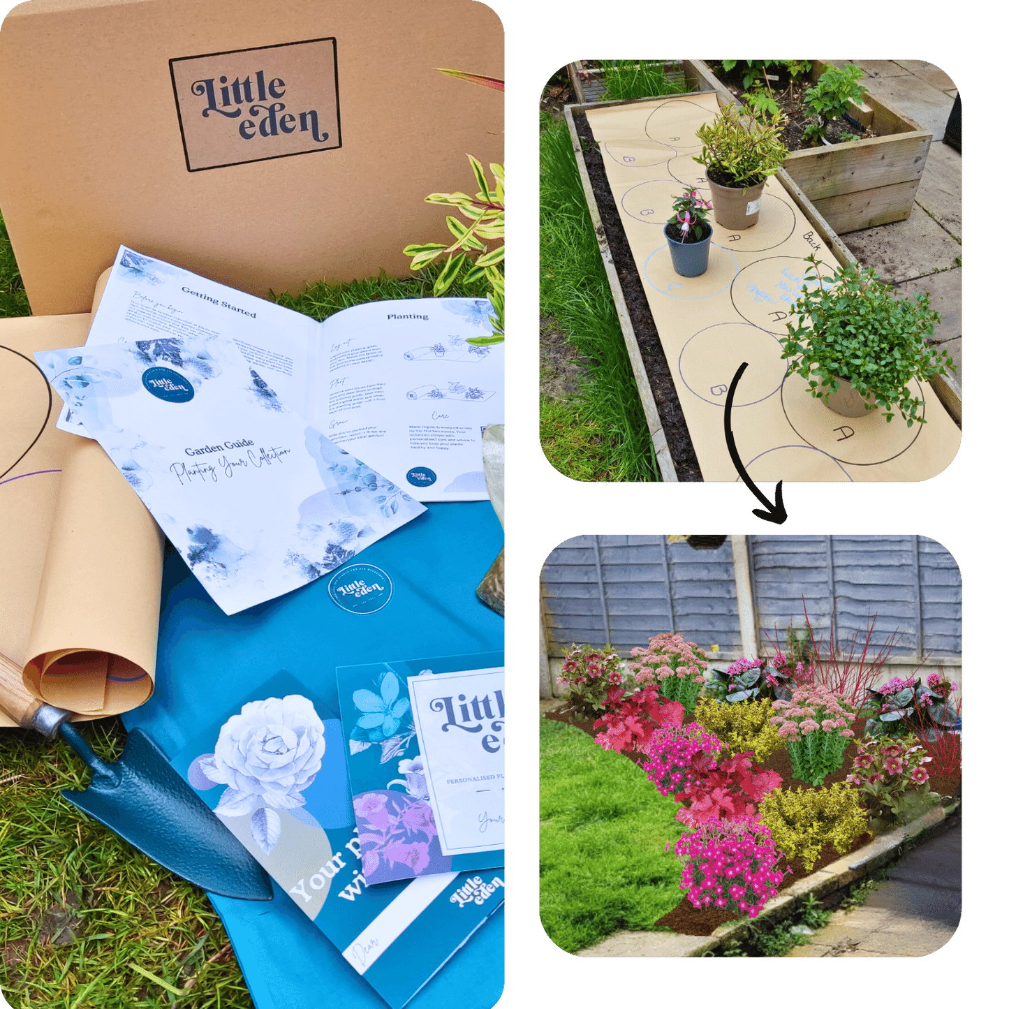 Stacey's Plant-by-Numbers Kit