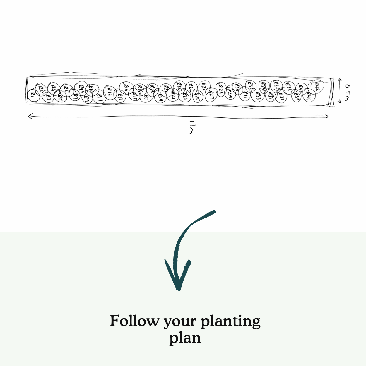 Helson's Left Border