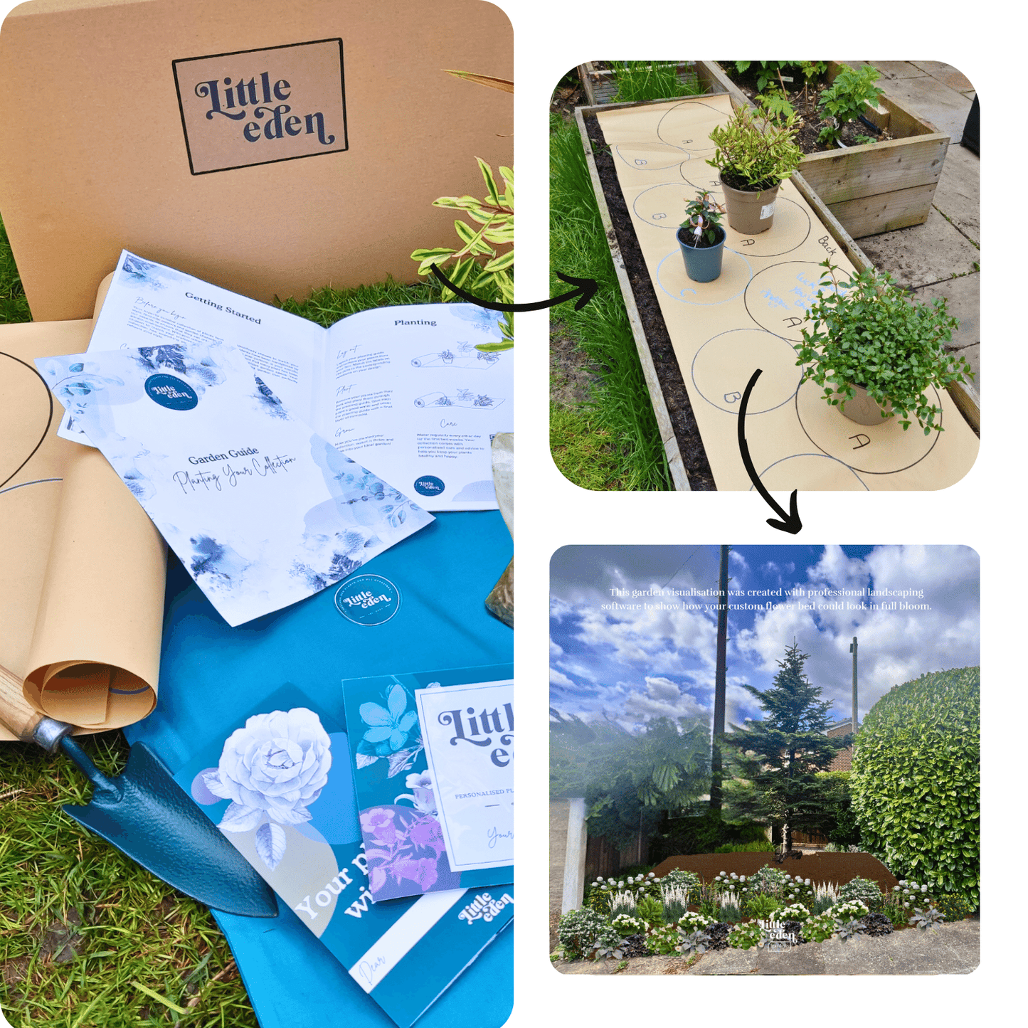 Malavika's Plant-by-Numbers Kit