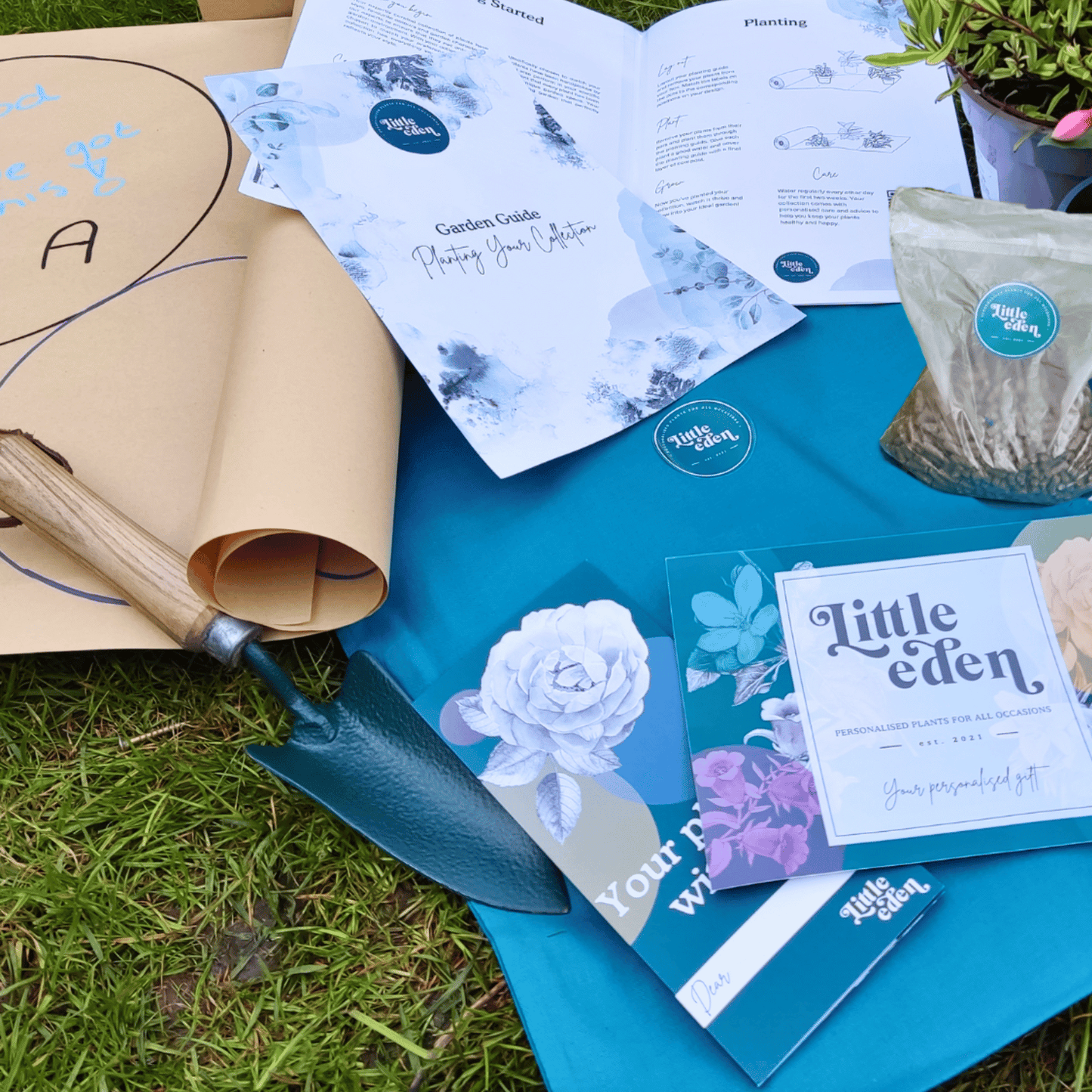 Tina's Plant-by-Numbers Kit