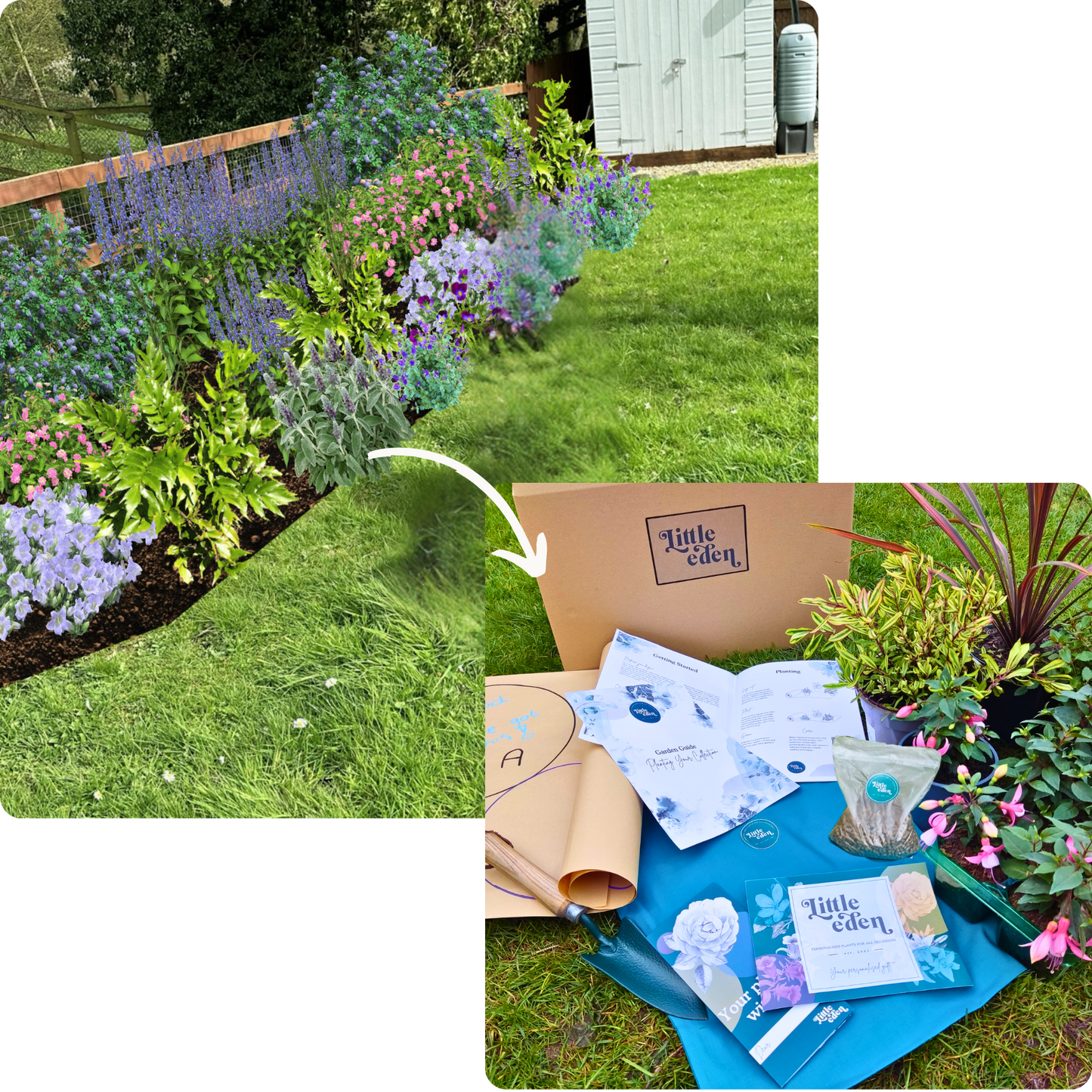 Tina's Garden-in-a-Box