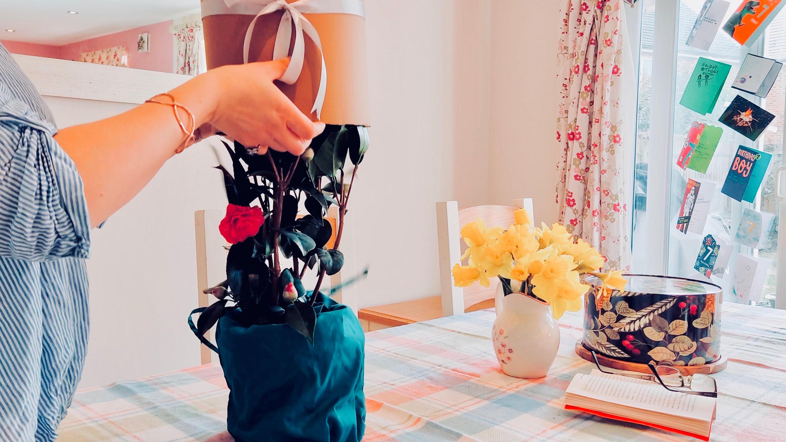 Plant gift reveal