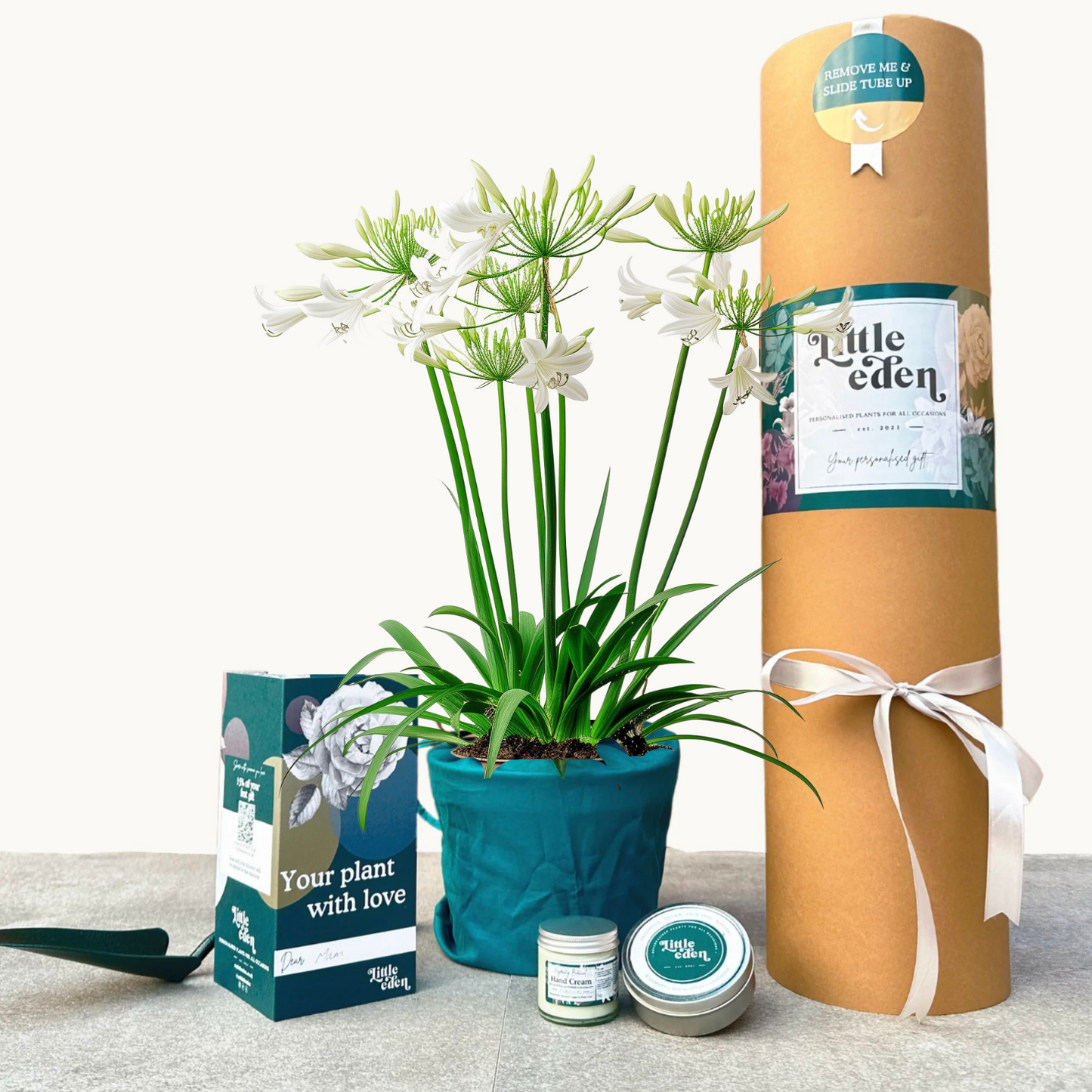 African Lily Gift Set