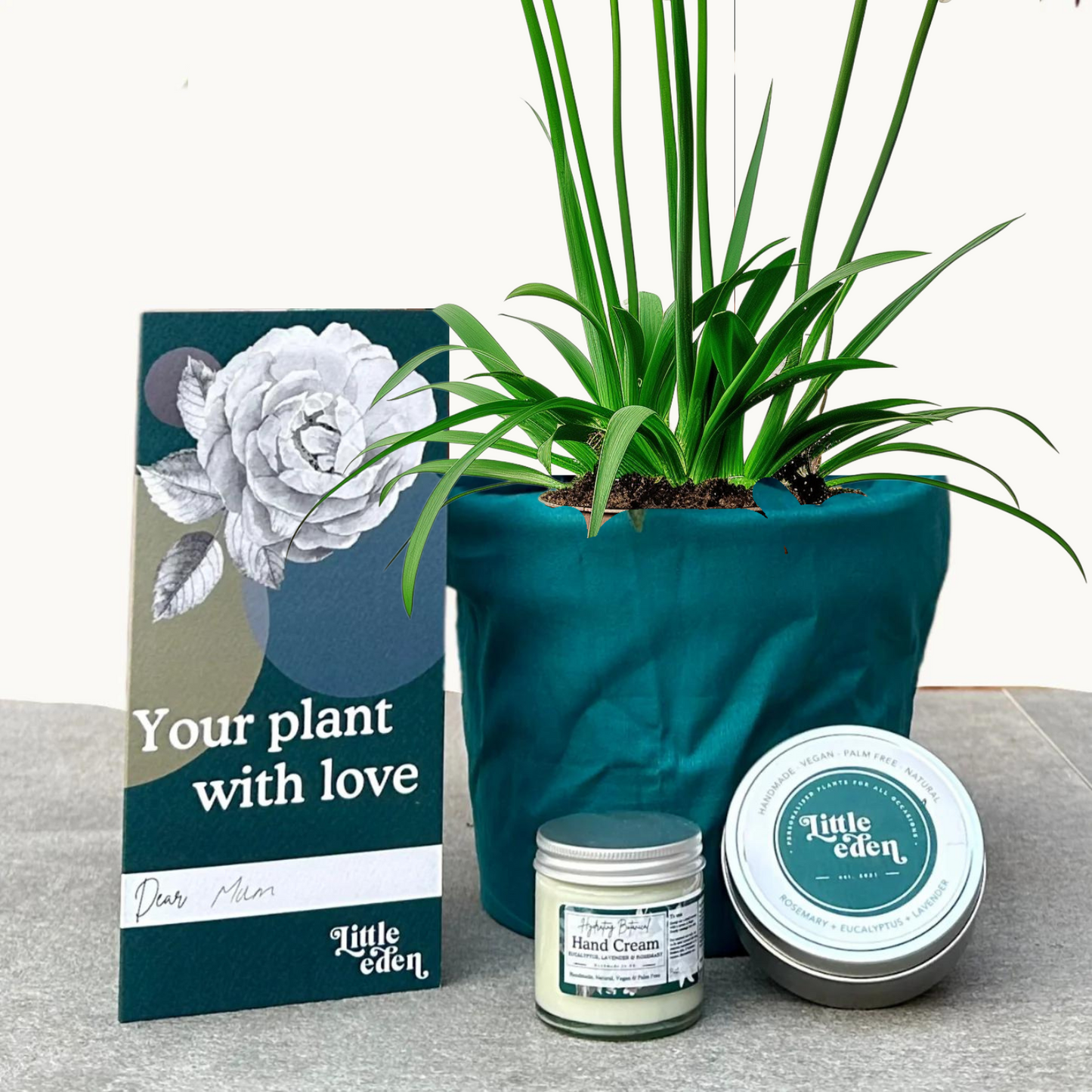 African Lily Gift Set