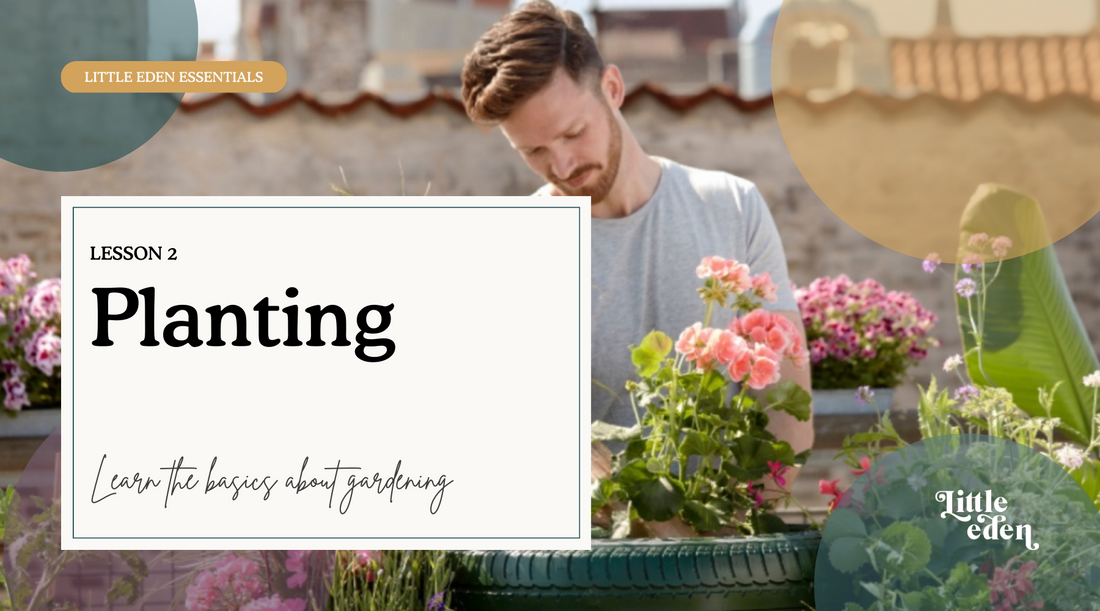 2: How do I pot my plants?