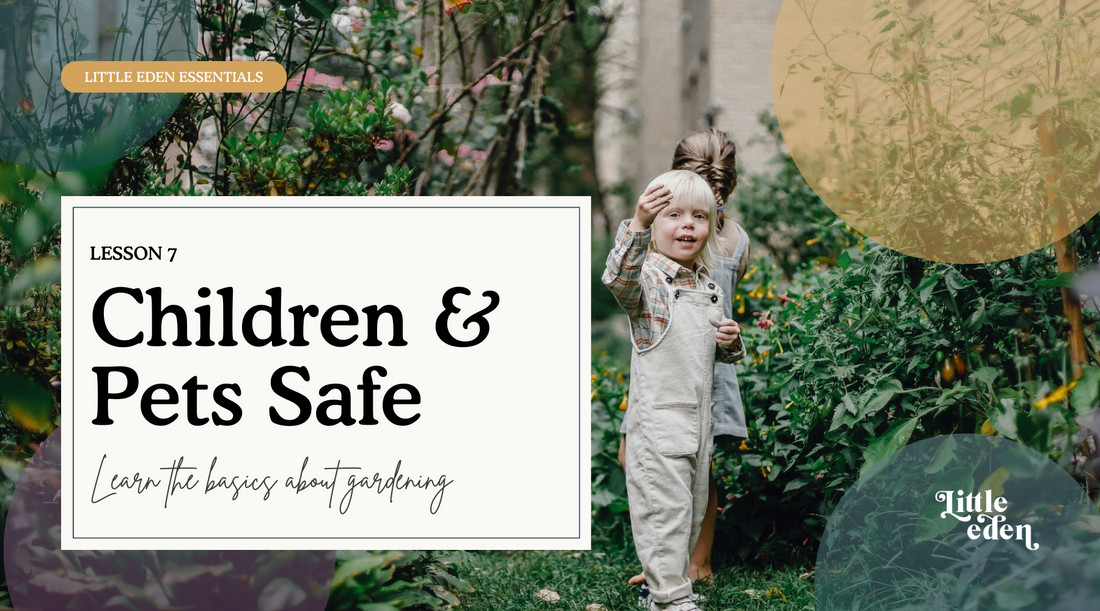 7: Make my garden children and pet safe