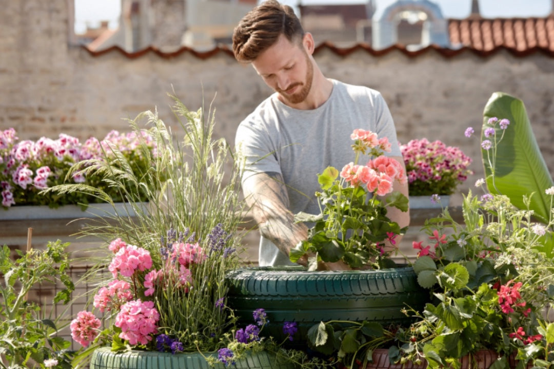 Making the most of a smaller garden