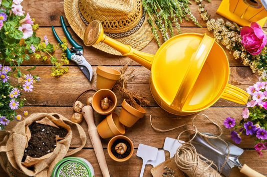 Top tips for a new build garden