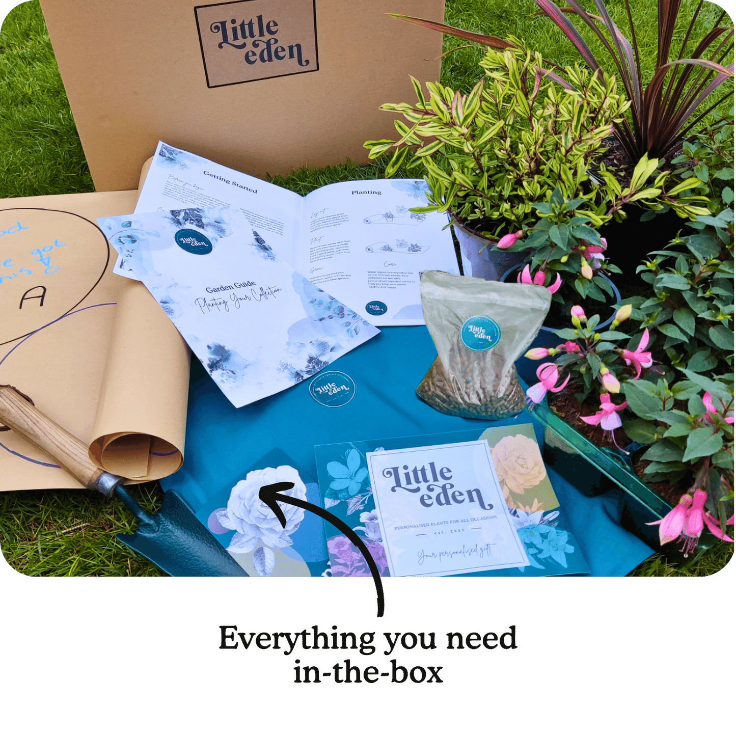 Marcy's Border-in-a-Box