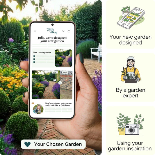 Lavenders Lane Garden Blueprint