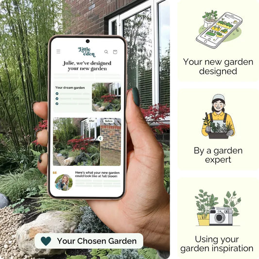 Maple Harmony Garden Blueprint