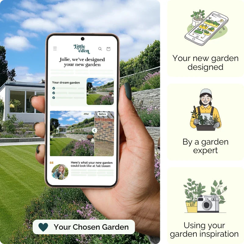 Sunset Terrace Garden Blueprint