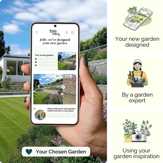 Sunset Terrace Garden Blueprint