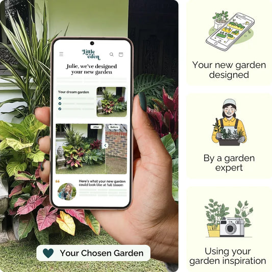 Leafy Wonder Garden Blueprint