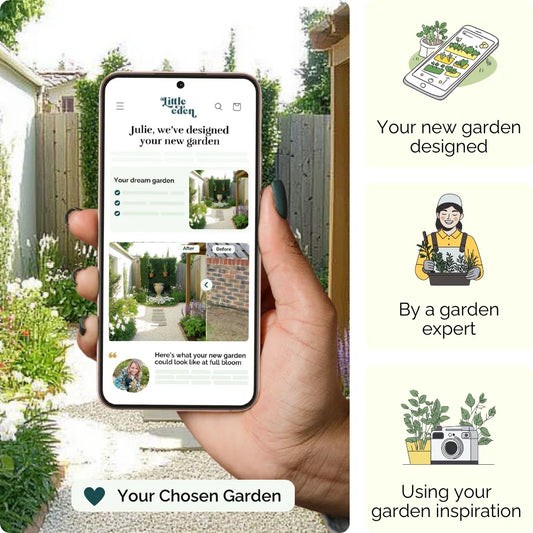 Elegant Symmetry Garden Blueprint