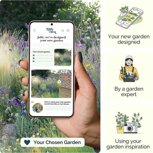 Wild Meadow Garden Blueprint