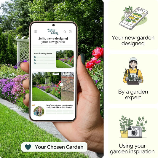 Floral Charm Garden Blueprint
