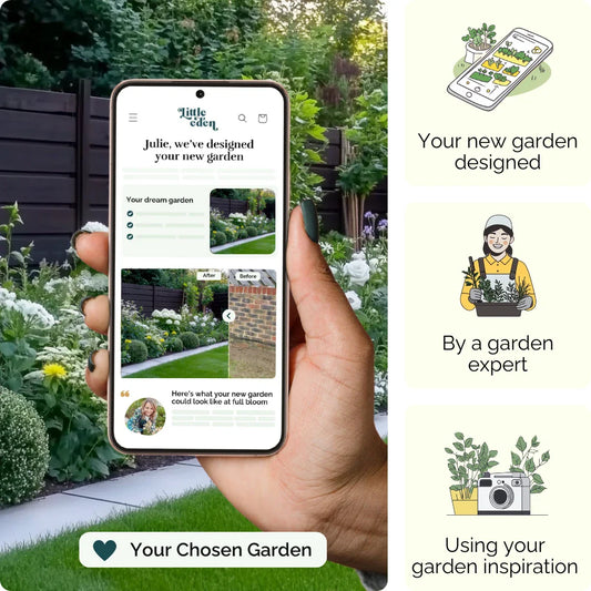 Moonlight Border Garden Blueprint