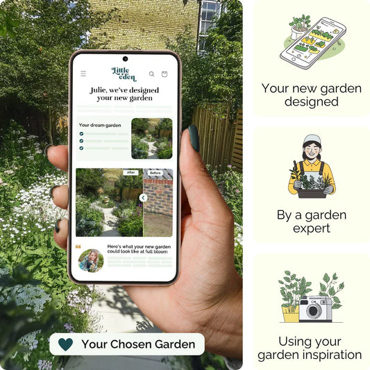 Hidden City Oasis Garden Blueprint