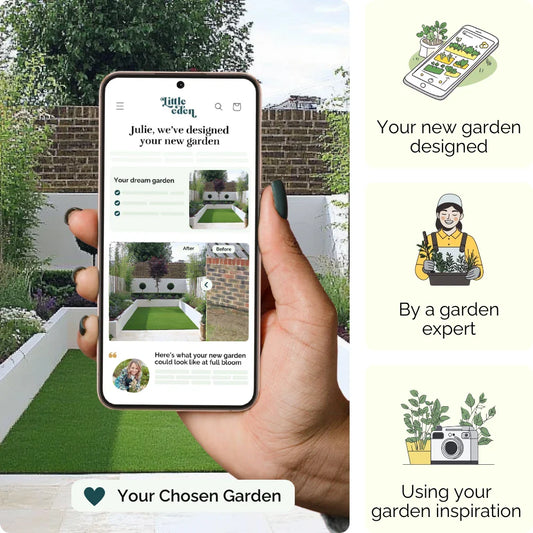 Structured Serenity Garden Blueprint