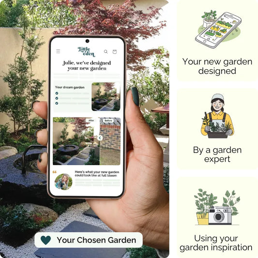 Tea Garden Garden Blueprint