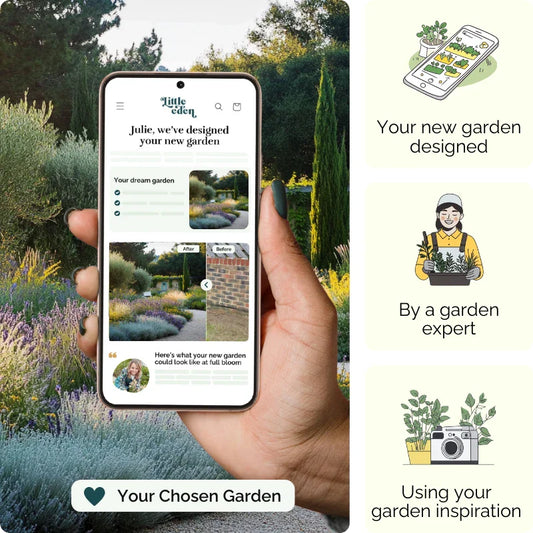 Provence Glow Garden Blueprint
