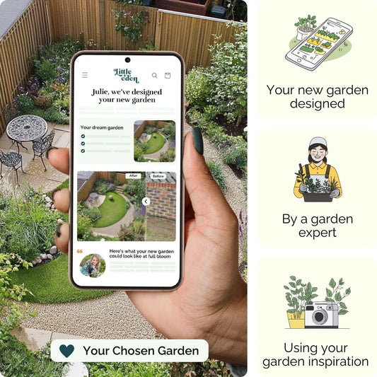 Contemporary Charm Garden Blueprint