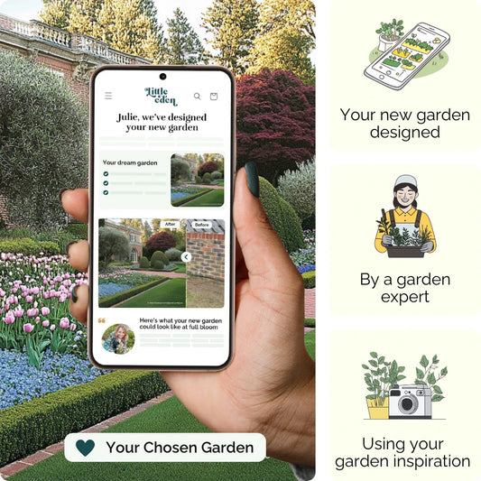 Manor Garden Blueprint