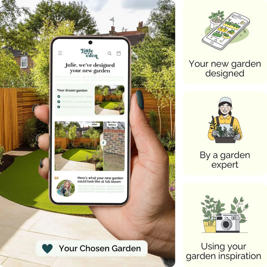 Urban Oasis Garden Blueprint