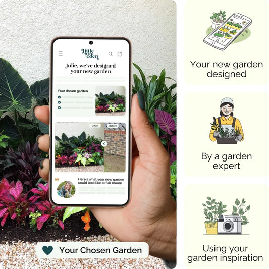 Island Retreat Garden Blueprint