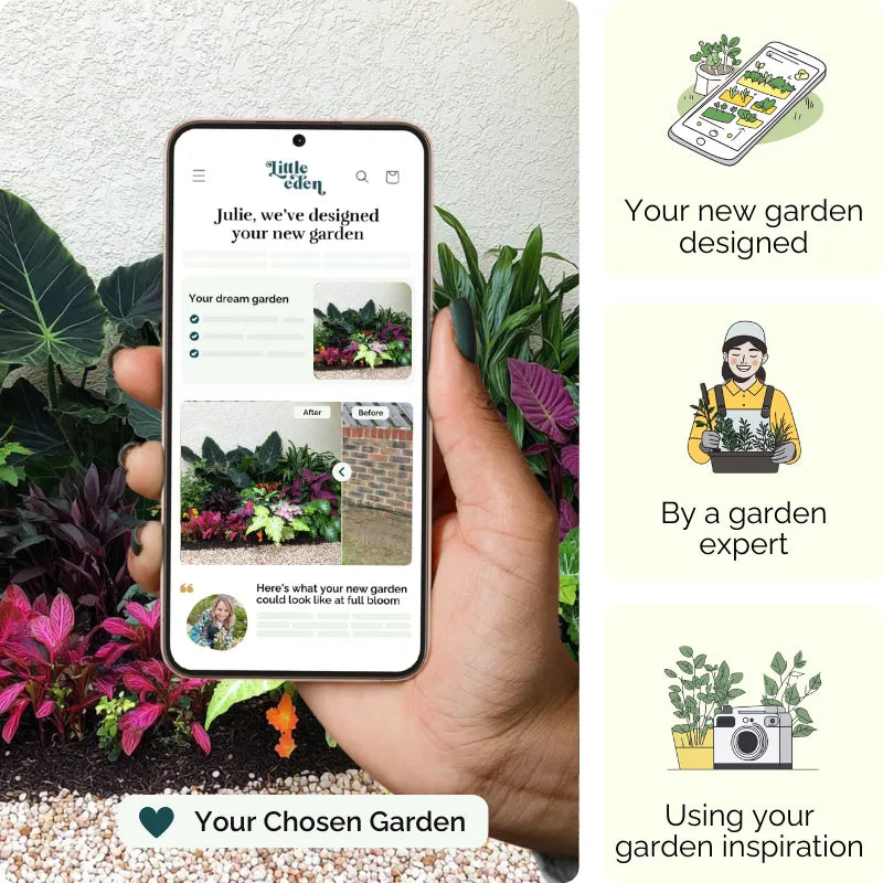 Island Retreat Garden Blueprint