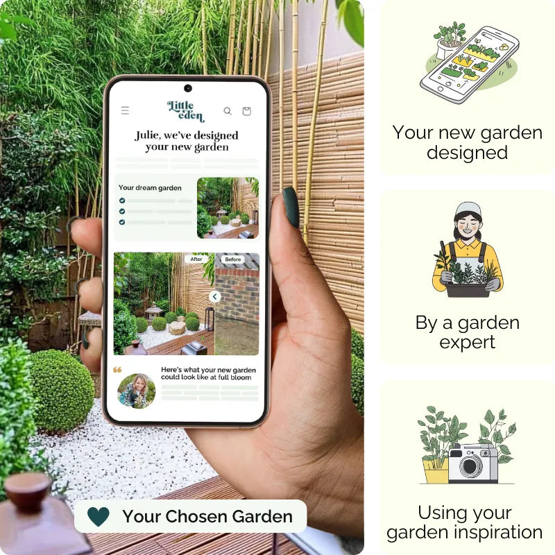 Bamboo Retreat Garden Blueprint