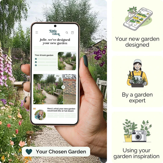 Pathway Delight Garden Blueprint