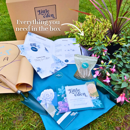 Tina's Garden-in-a-Box