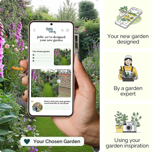 Peaceful Garden Retreat Garden Blueprint