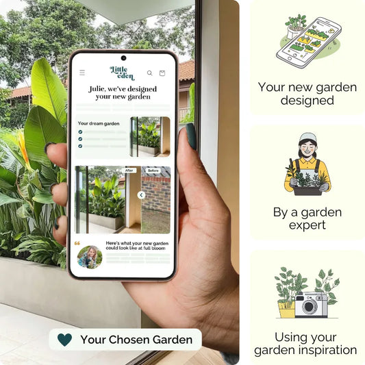 Colour Canopy Garden Blueprint