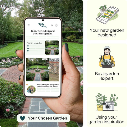Rose Court Garden Blueprint