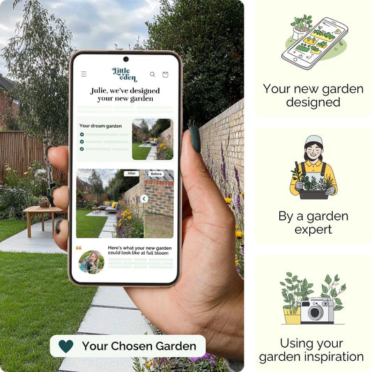 Urban Relaxation Garden Blueprint