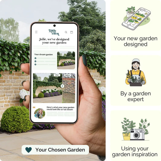Walled Serenity Garden Blueprint