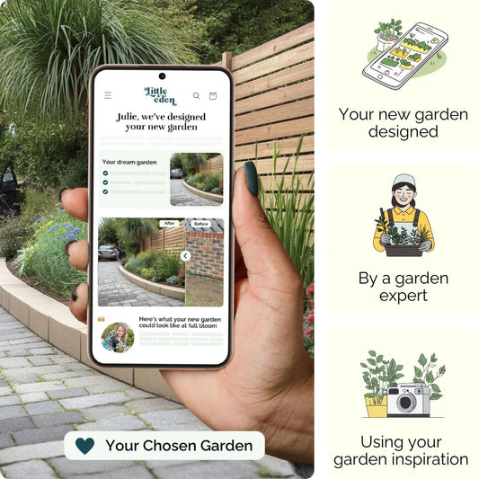 Sleek Driveway Garden Blueprint