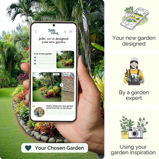 Balcony Tropics Garden Blueprint