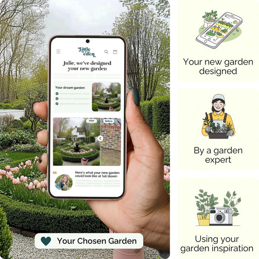 Tulip Circle Garden Blueprint