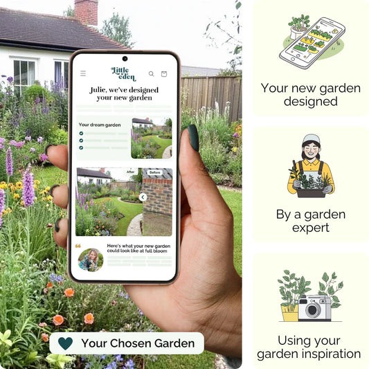 Lawn Haven Garden Blueprint