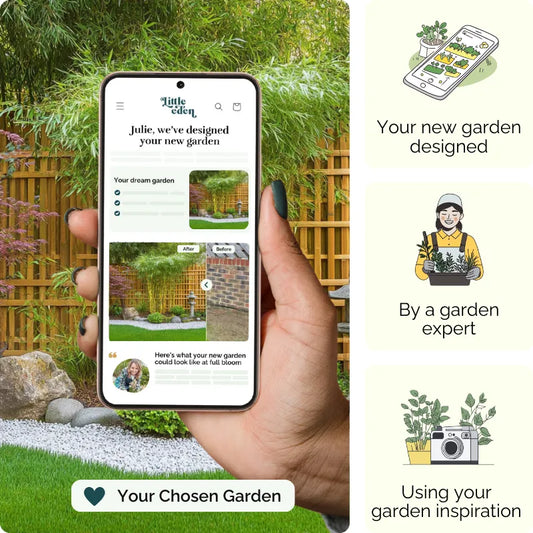 Golden Bamboo Garden Blueprint